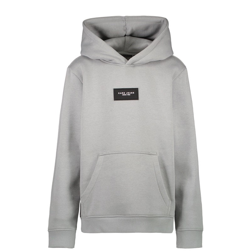 Midgrå hoodie med tryck