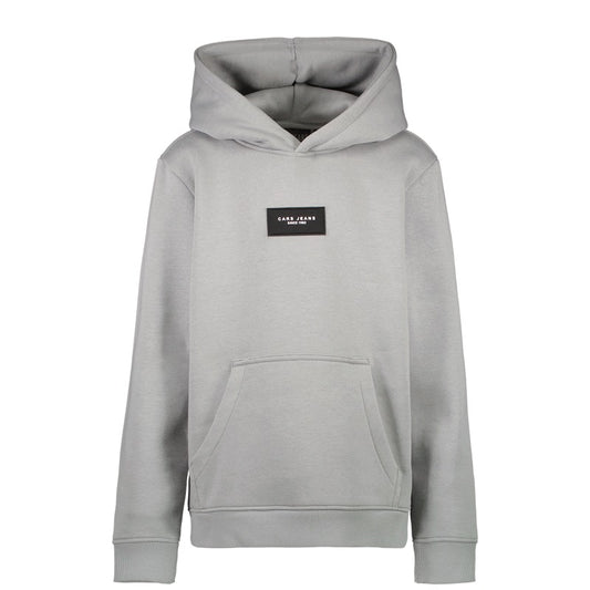 Midgrå hoodie med tryck